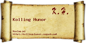 Kolling Hunor névjegykártya